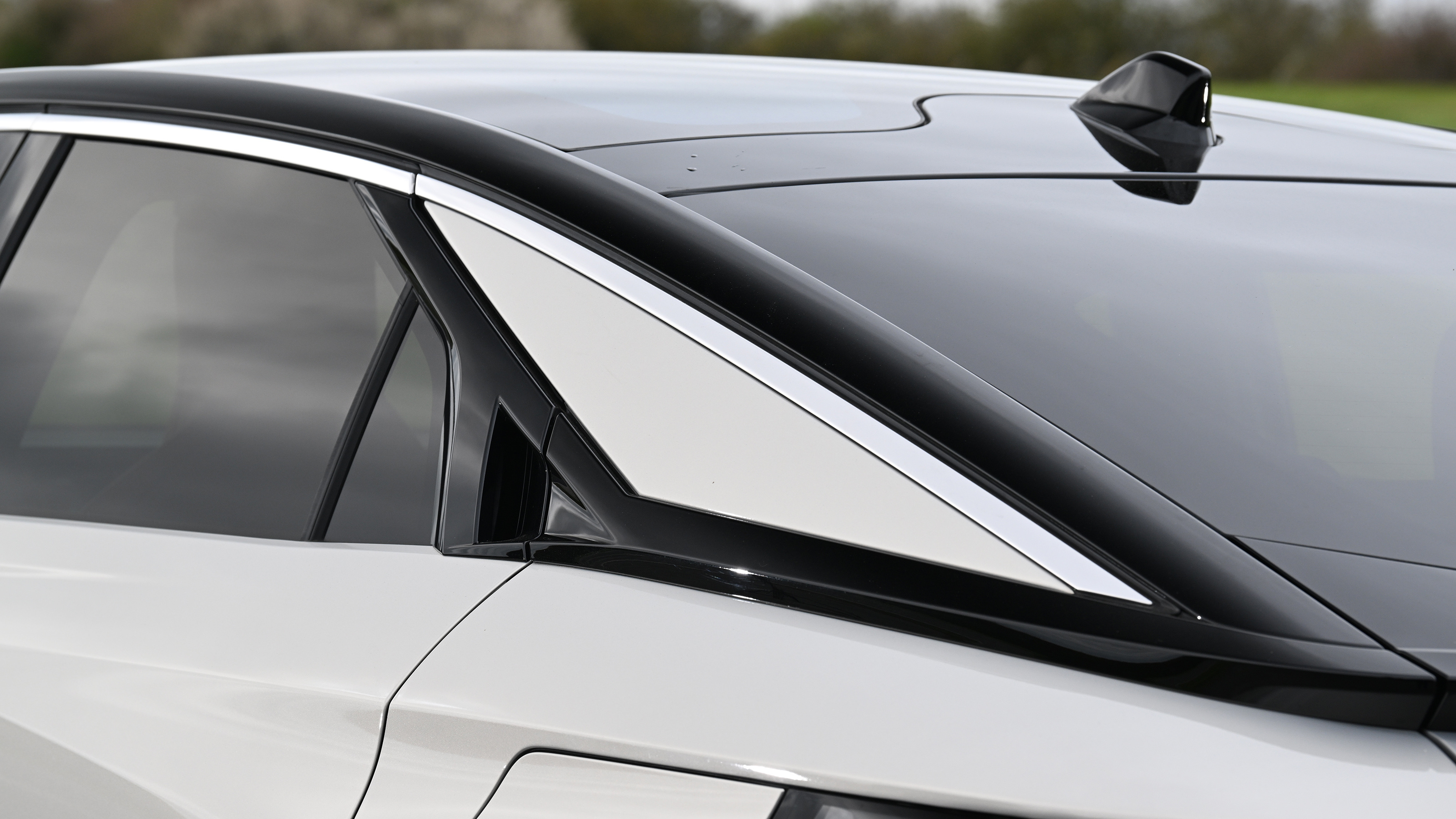 DS No8 - rear roofline