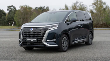 New Denza D9 - front static