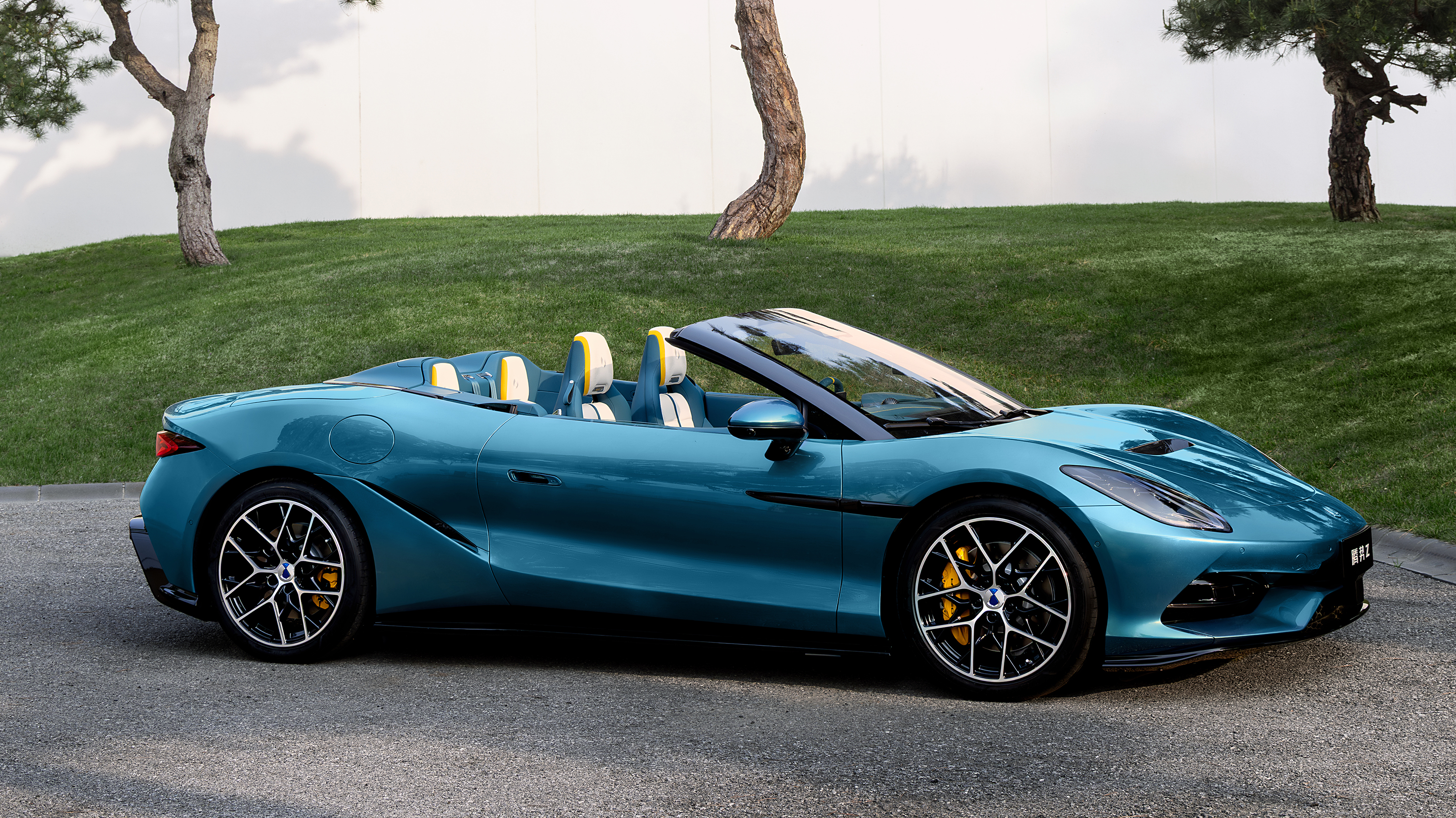 Denza Z - roof down