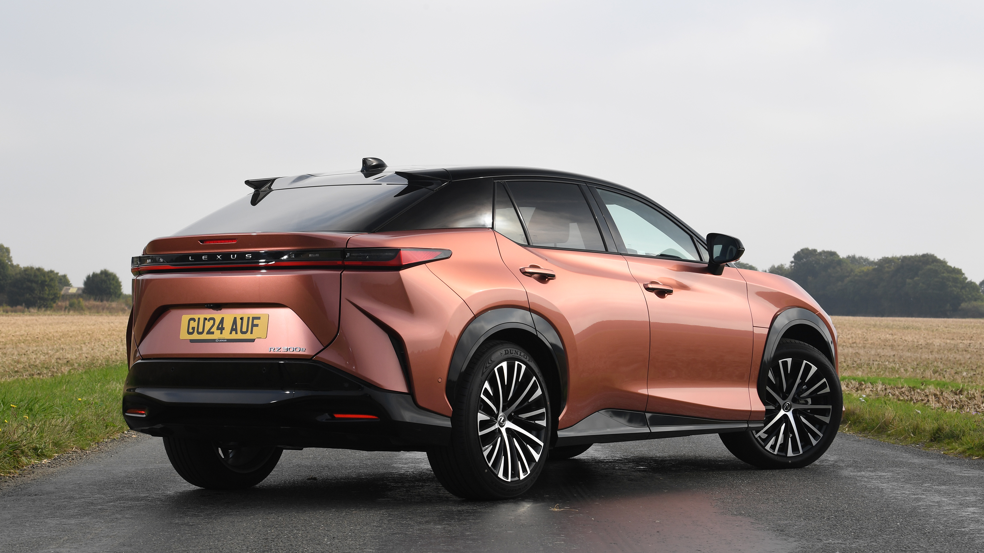 Lexus RZ - rear static