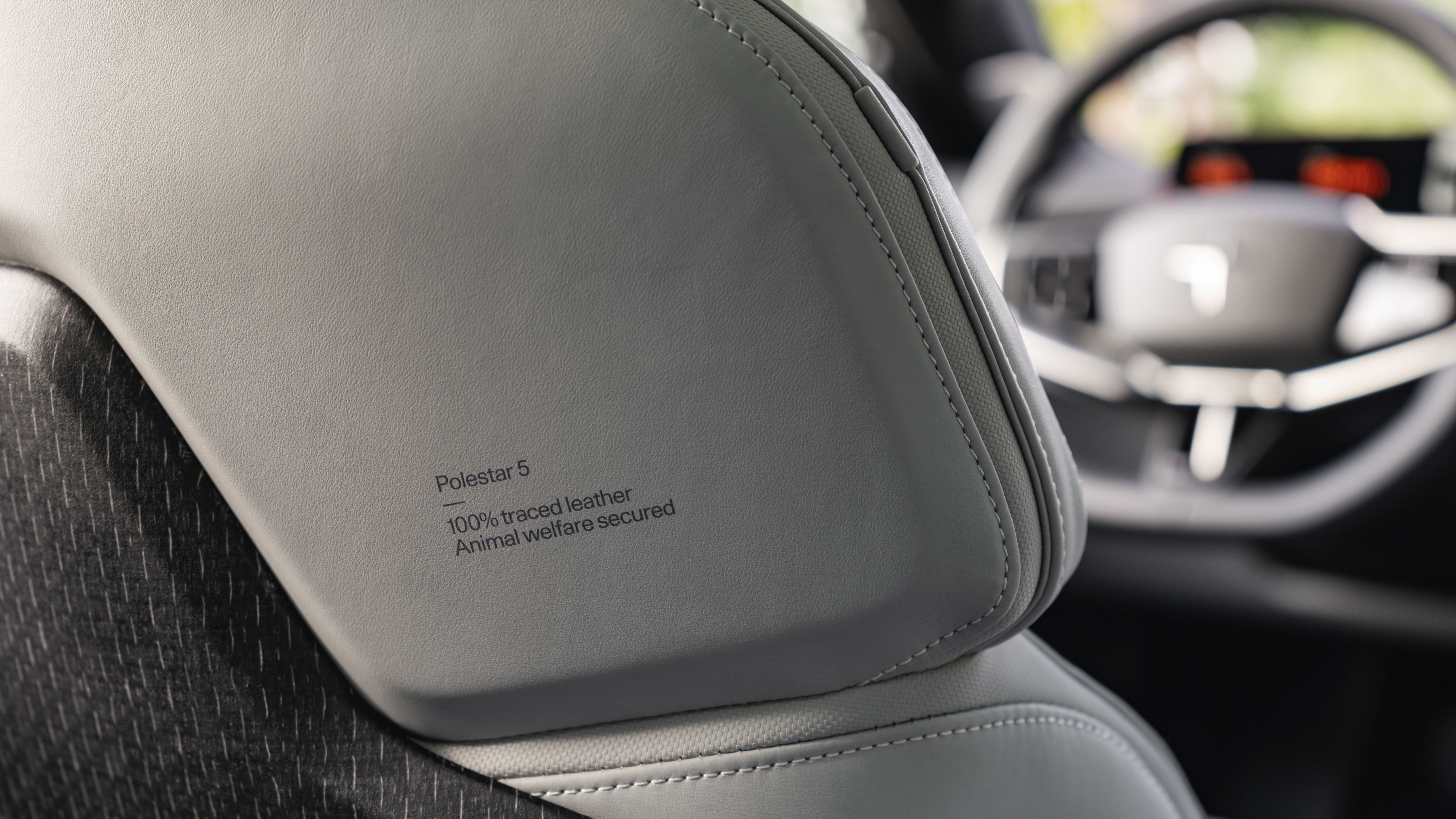 Polestar 5 - detail