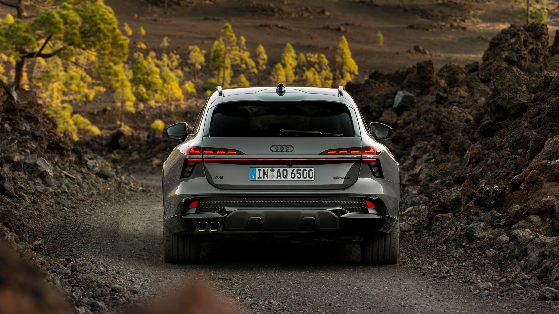 Audi A6 Allroad - full rear