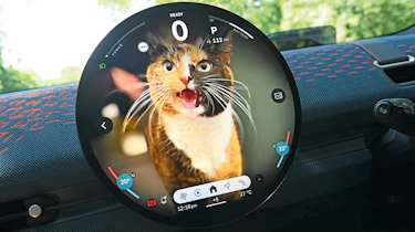 MINI Aceman SE Exclusive - cat screen