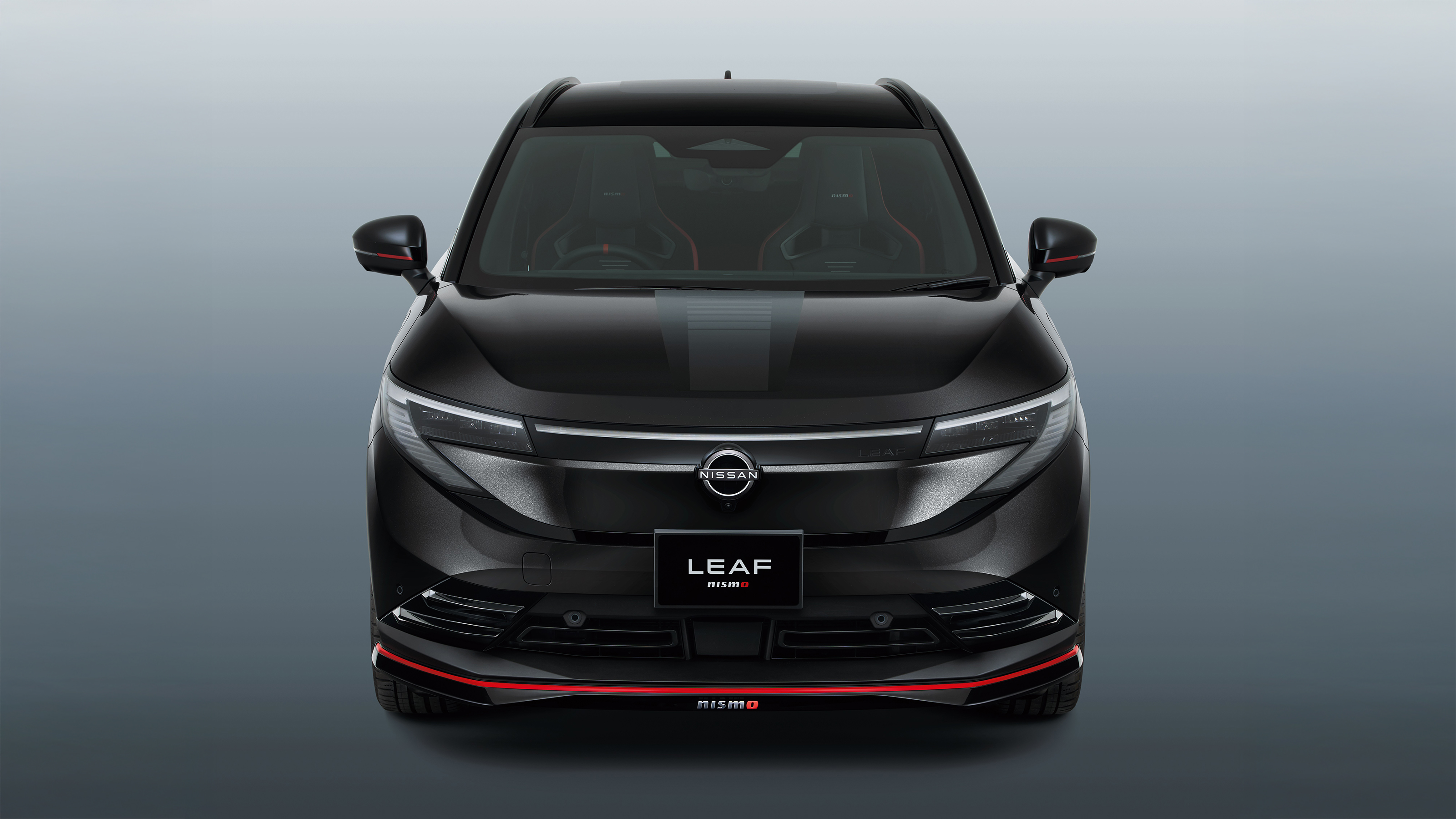 Nissan Leaf Nismo - dark grey