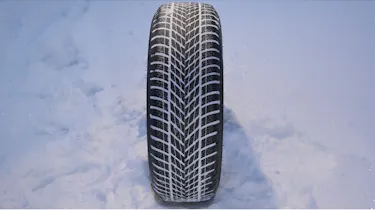 Dunlop Winter