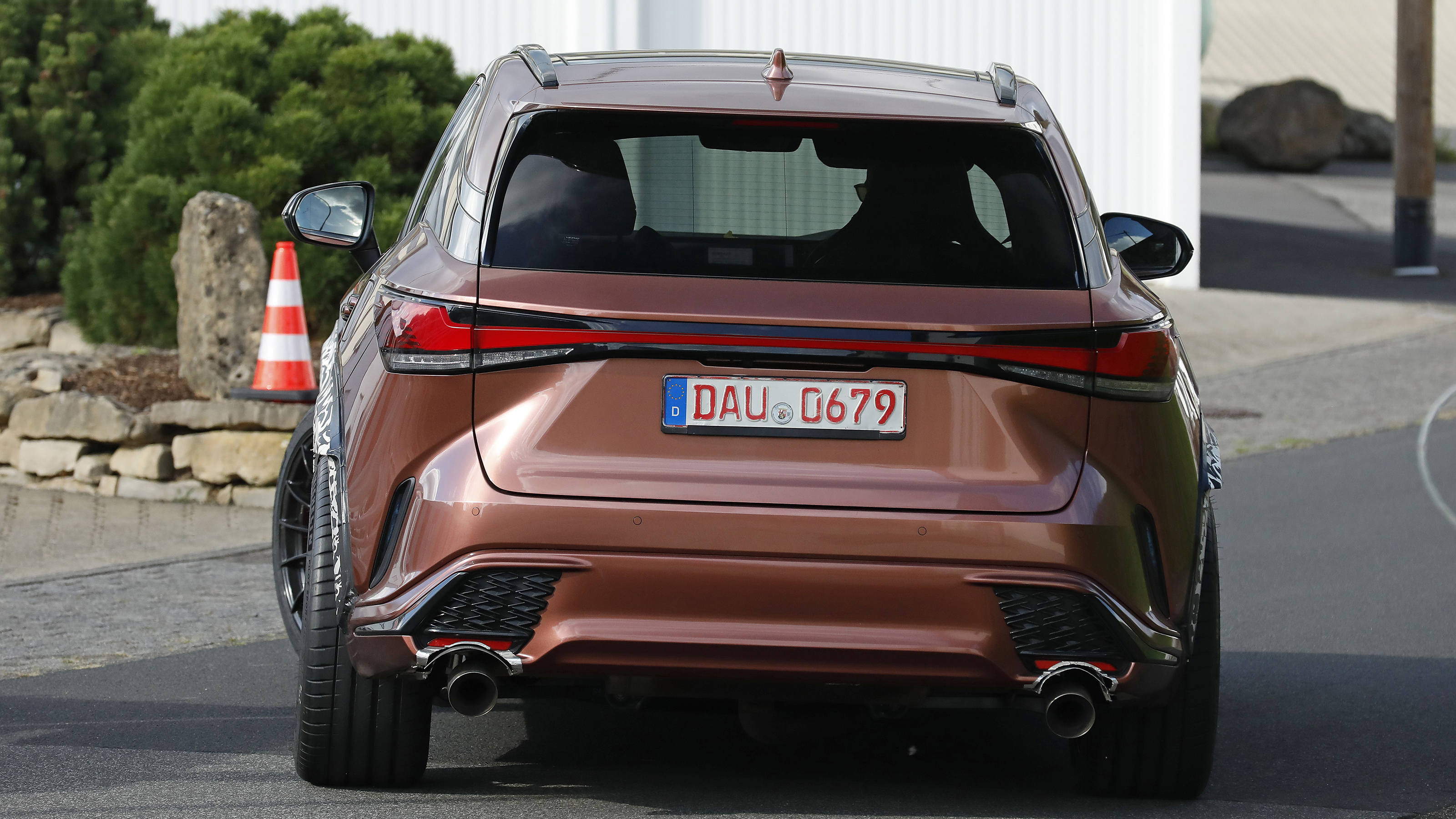 Hot Lexus RX - rear