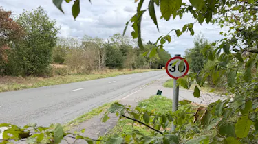 Road sign obscured by bush