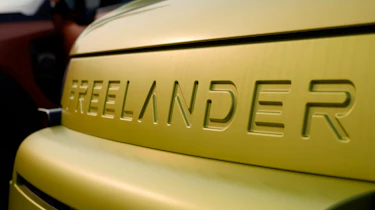 Freelander 8 six-seater - Freelander badge
