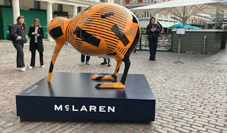 McLaren Kiwi