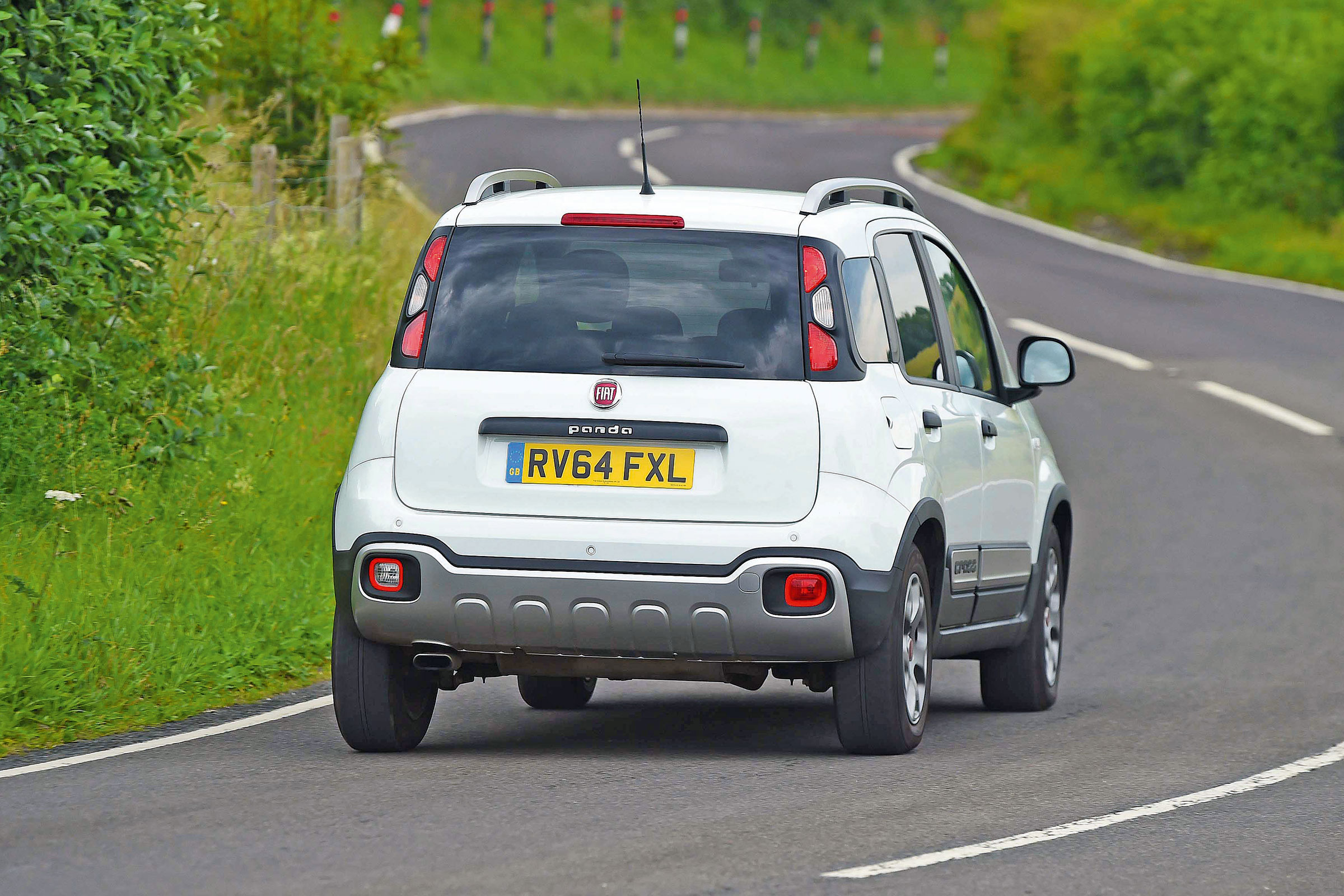 Fiat Panda Cross - rear action