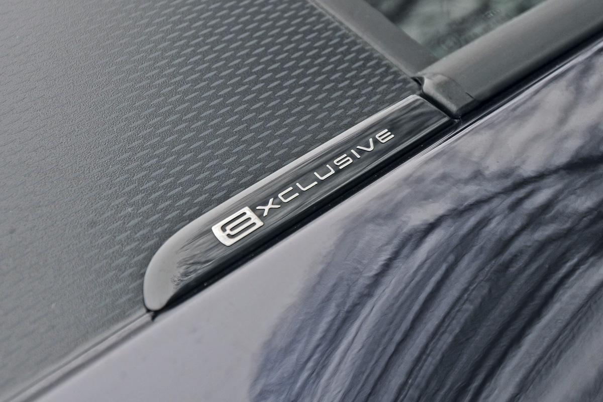 Citroen C3 Picasso badge