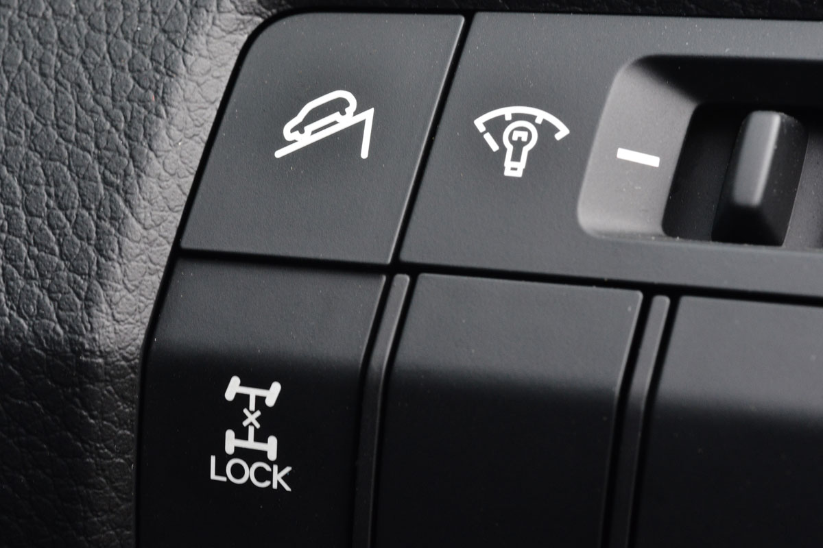 Hyundai Santa Fe button detail