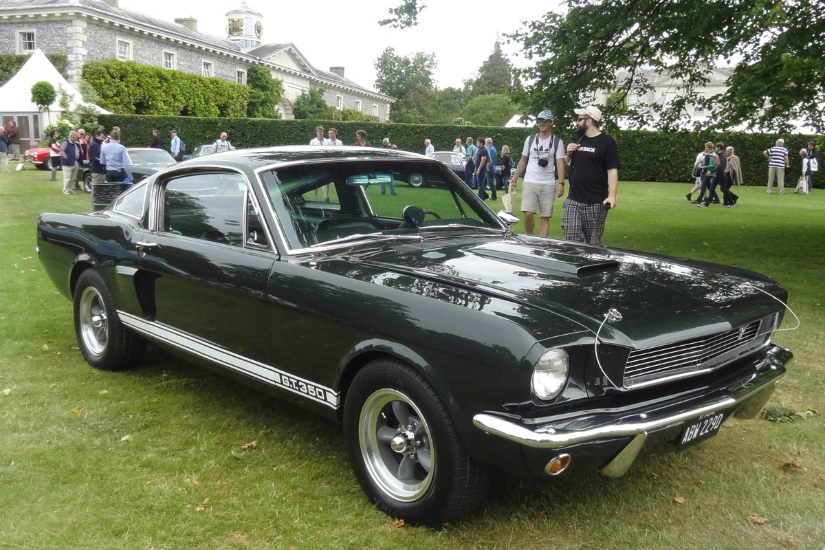 Shelby Mustang GT 350