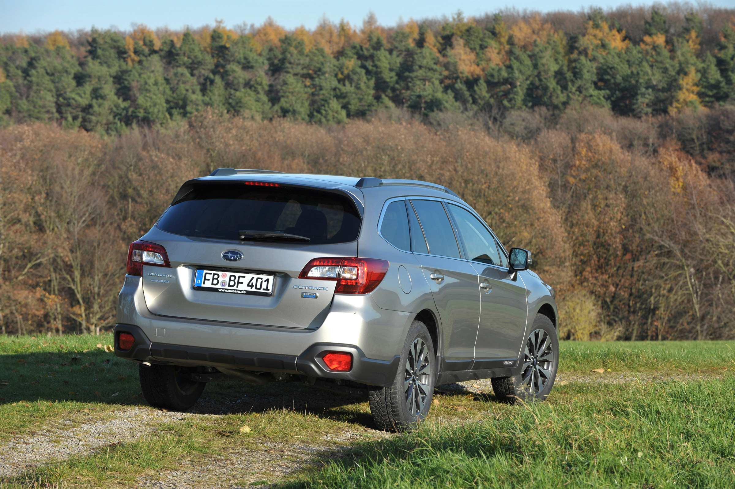 New Subaru Outback 2015 rear grass