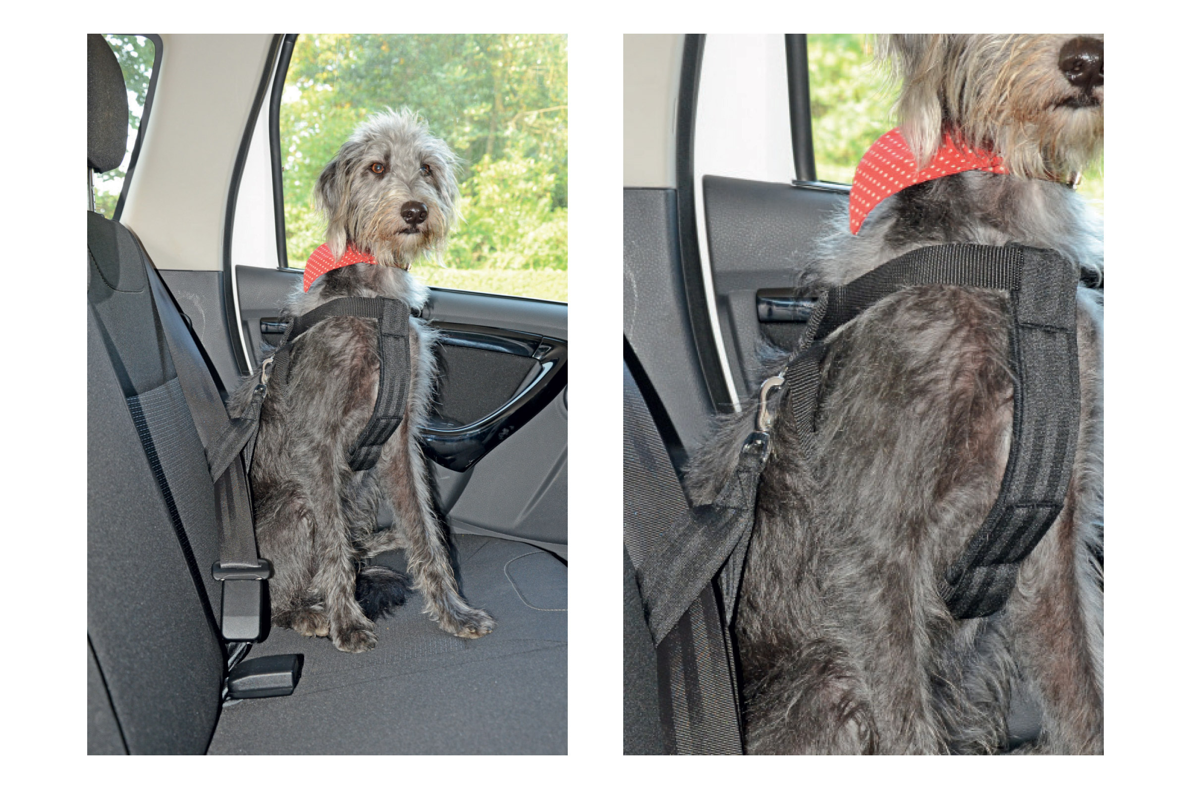 Universal Seat Belt Restraint