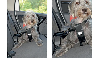 Halfords Medium Dog Car Harness