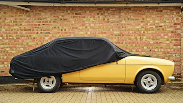 Cosmos indoor car cover