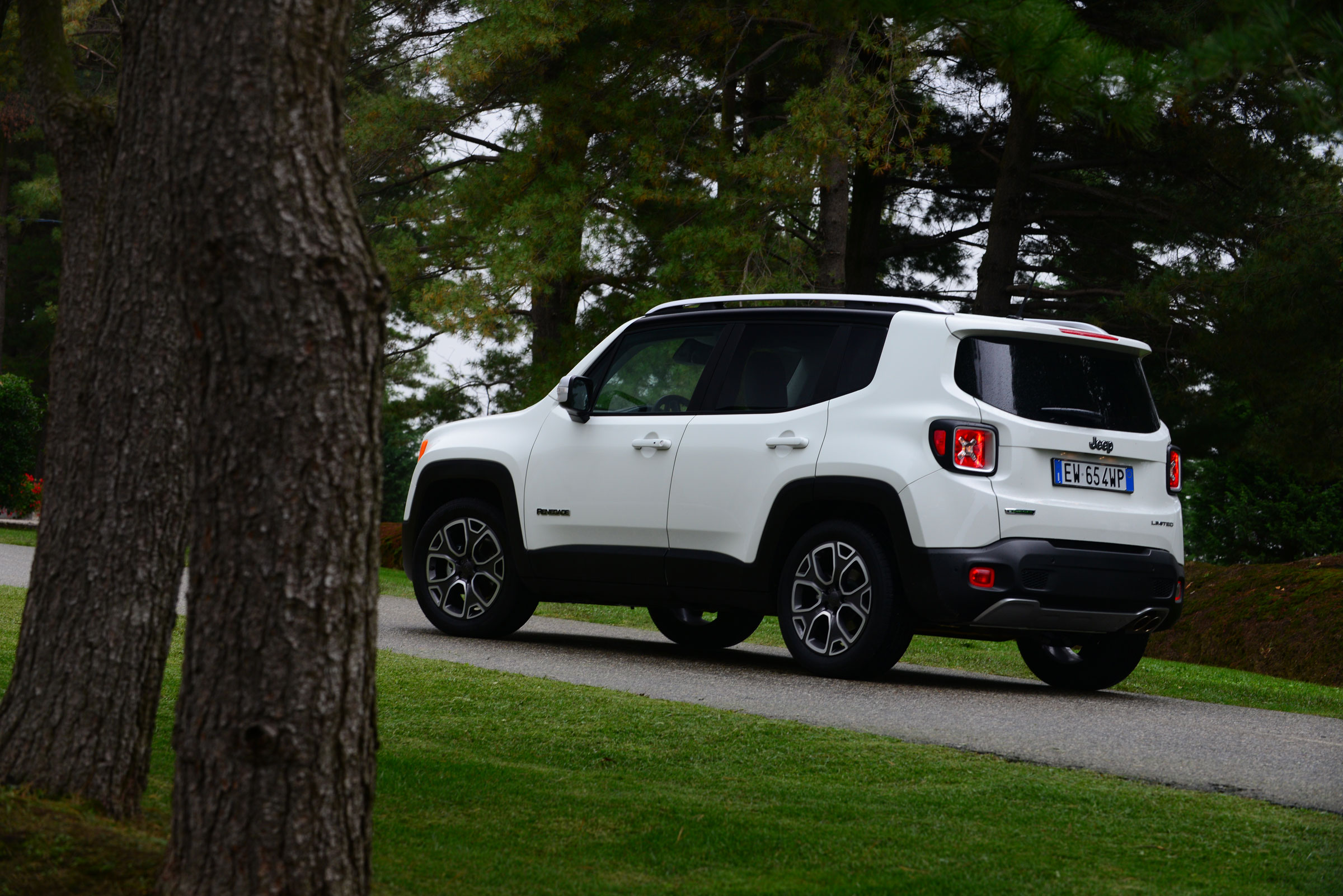 Jeep Renegade rear static
