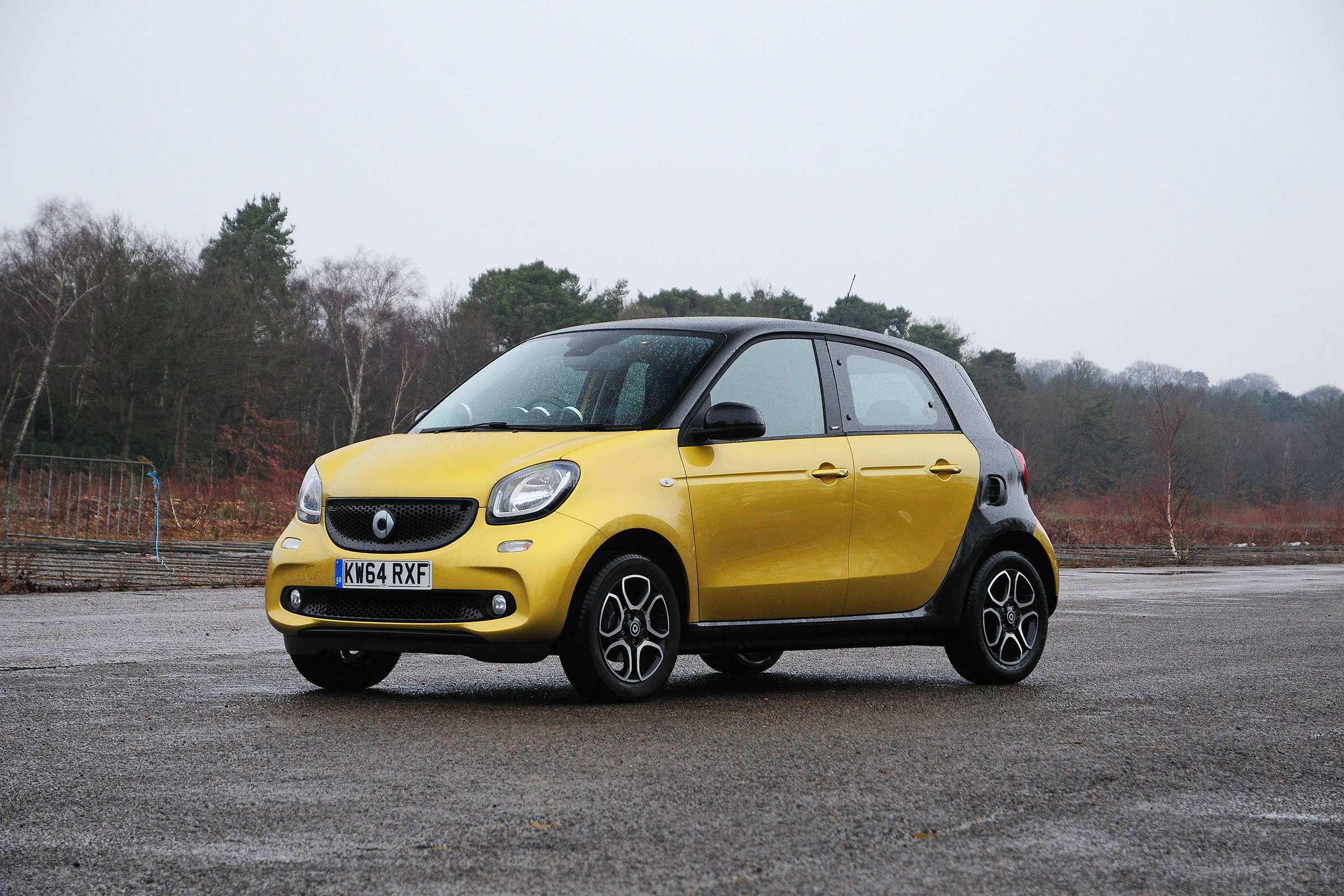 Smart ForFour - static