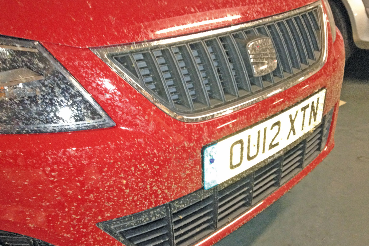SEAT Alhambra front nose