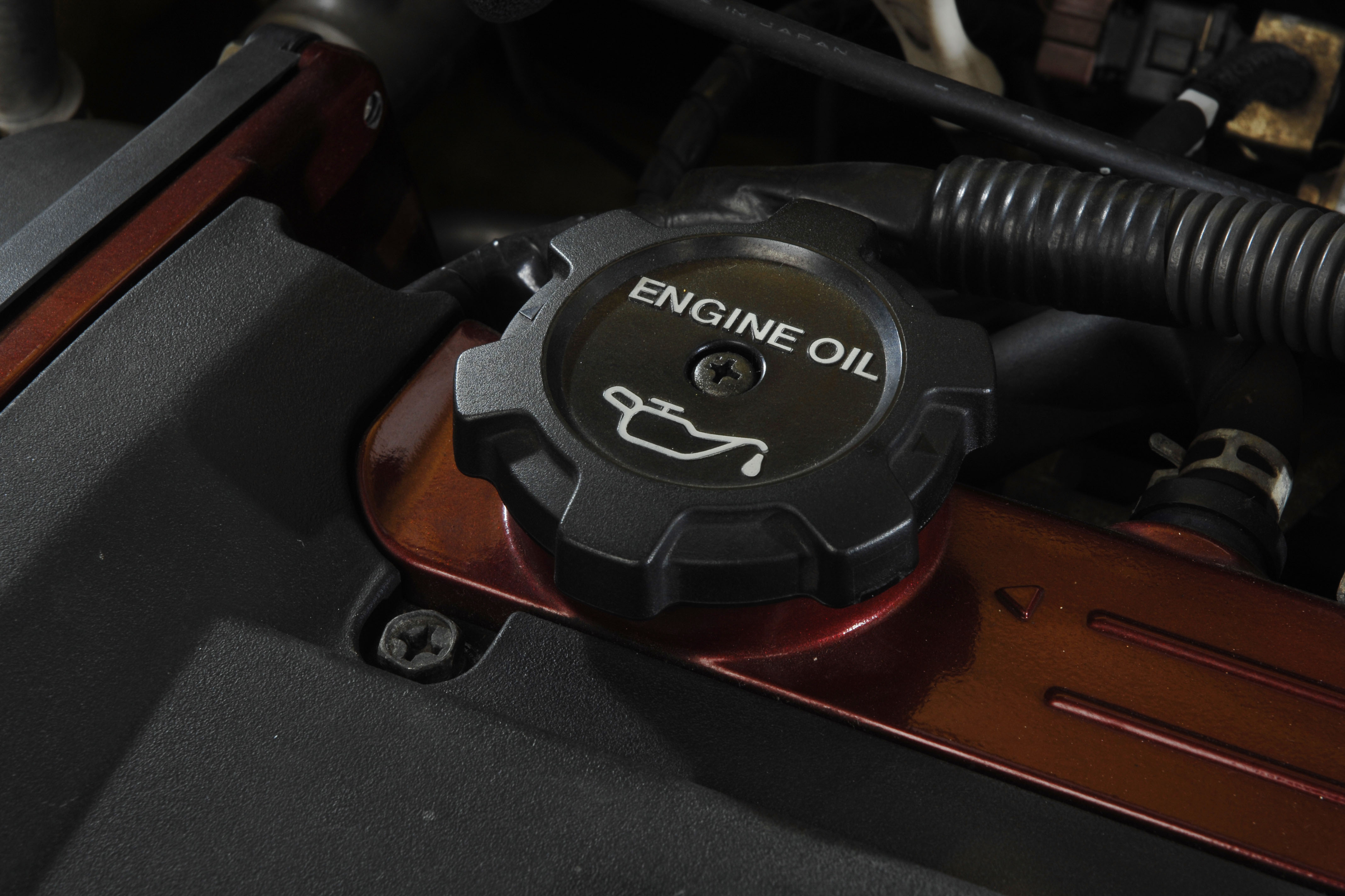 Evo oil