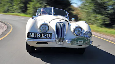 Jaguar