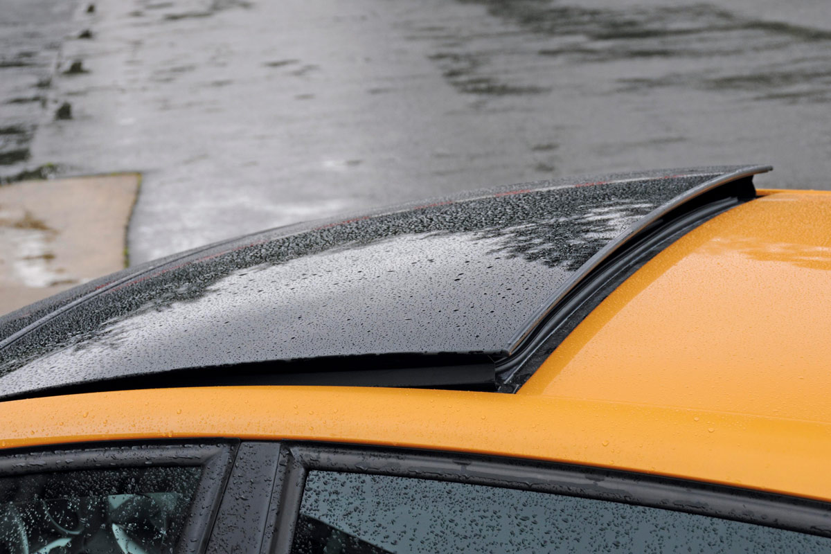 Seat Ibiza ST roof