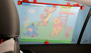 Winnie the Pooh Sunblinds