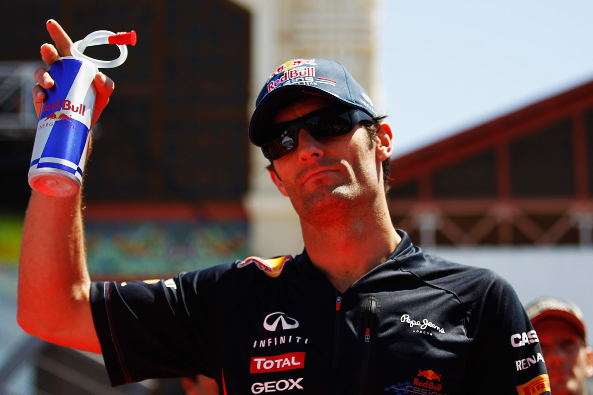 Mark Webber on the grid