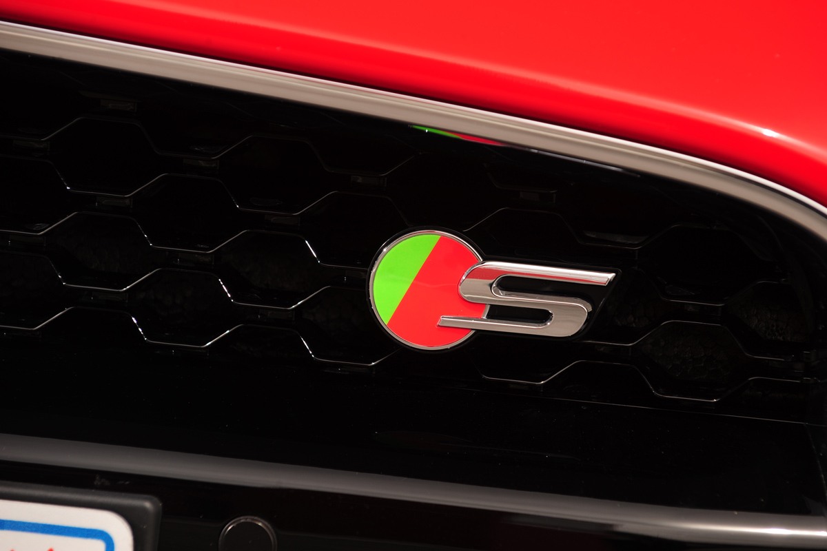 Jaguar F-Type S grille
