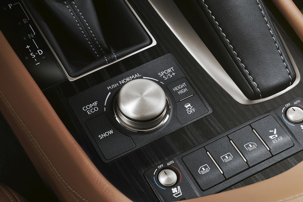 Lexus LS 460L detail