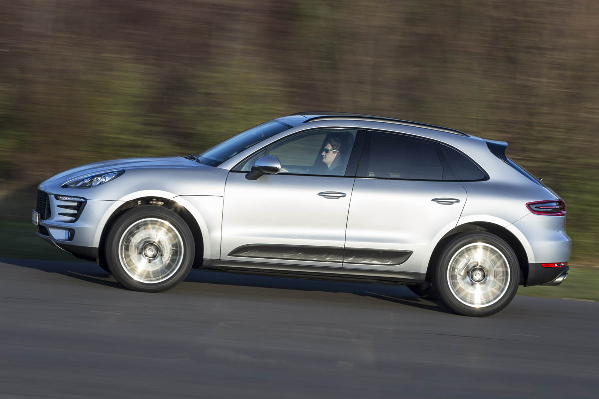 Macan profile