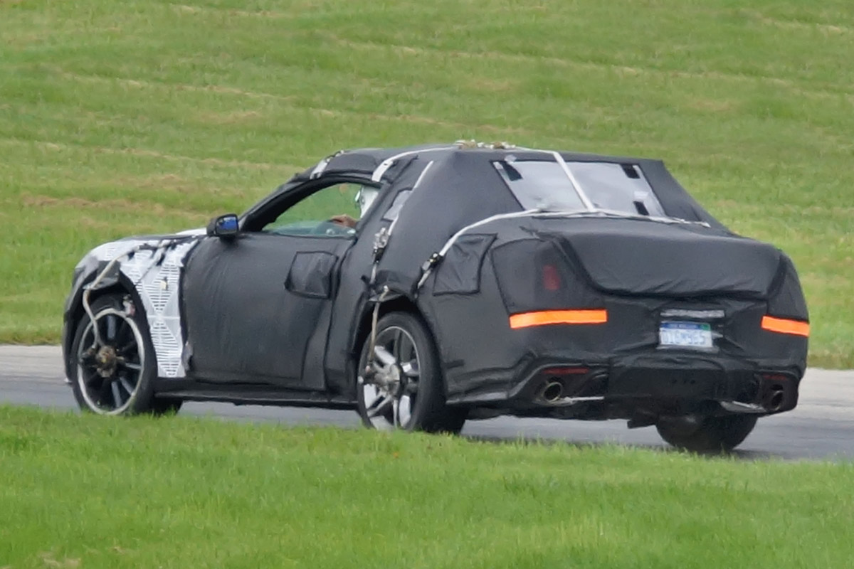 Ford Mustang rear quater