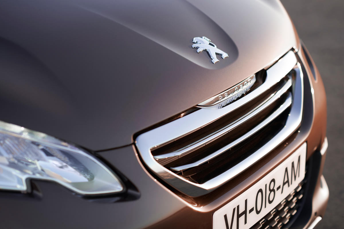 Peugeot 2008 1.6 VTi grille