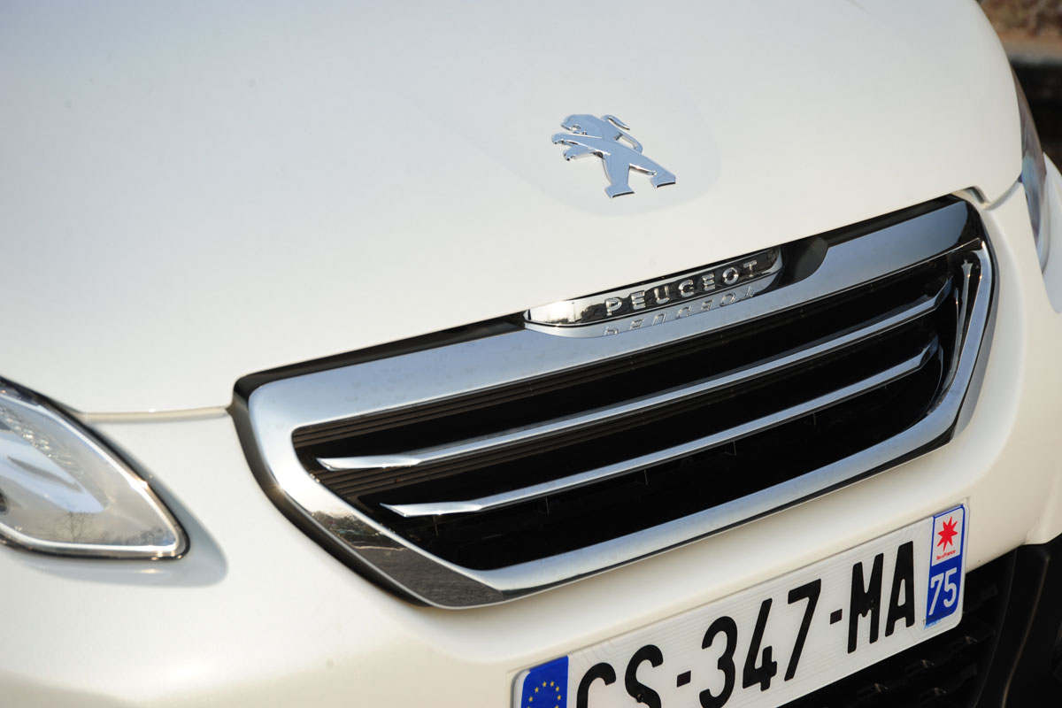 Peugeot 2008 grille