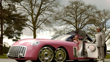 Pink Thunderbird