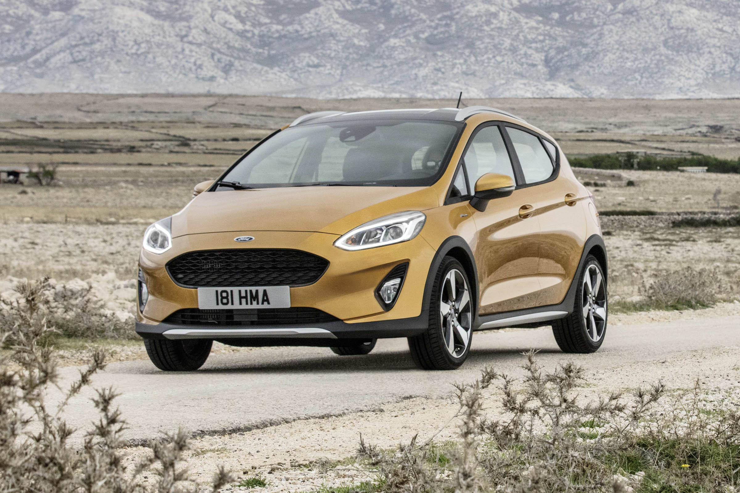 Ford Fiesta Active front action